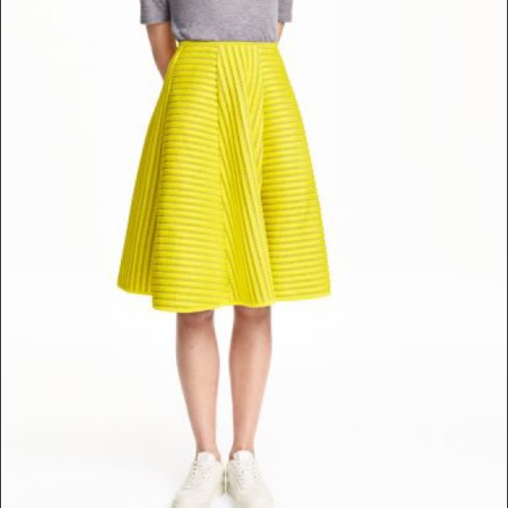 H&M Knee Length Lace Pattern Circle Skirt Size 2